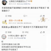 谁在“杀死”音乐节？